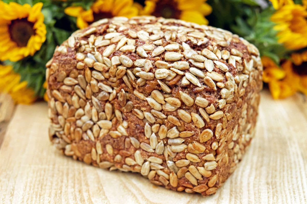Al pan, pan y al paleo sin gluten
