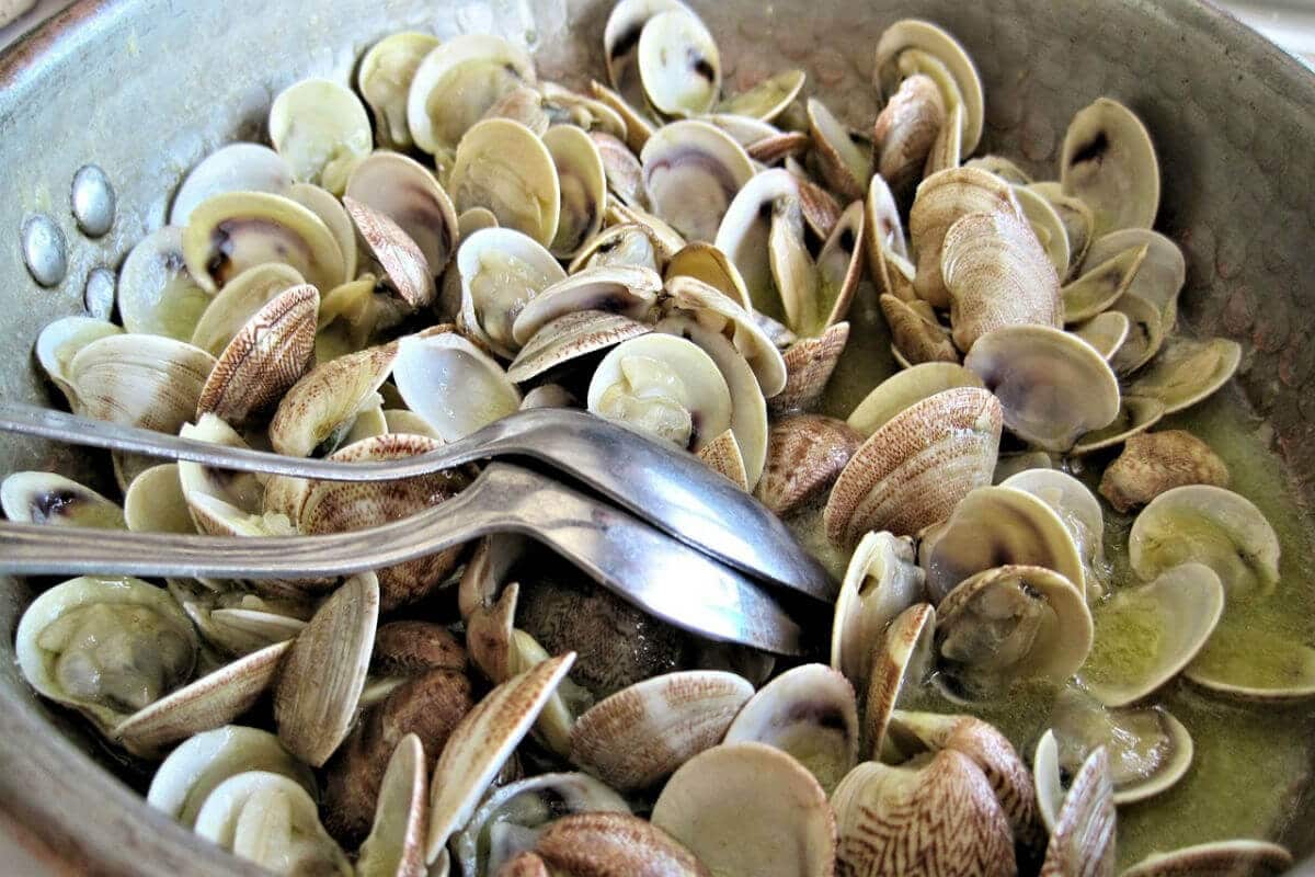 Clam Chowder (sin gluten y sin lactosa)