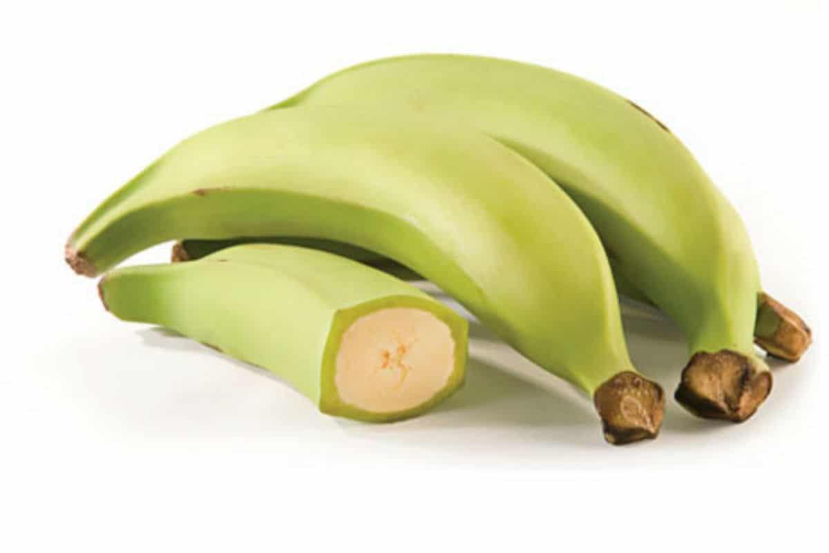 Rollo de Bonito (sin gluten y sin lactosa)