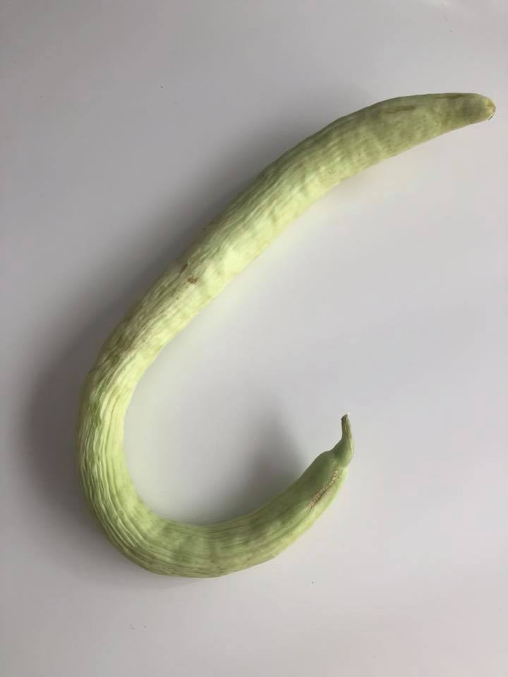 Tres recetas con pepino. Descubriendo el Alficoz