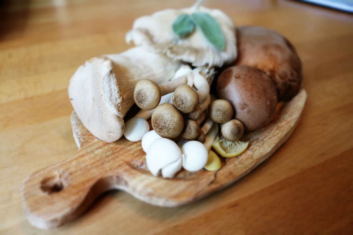 Crema melosa de queso Idiazábal y champiñones portobello