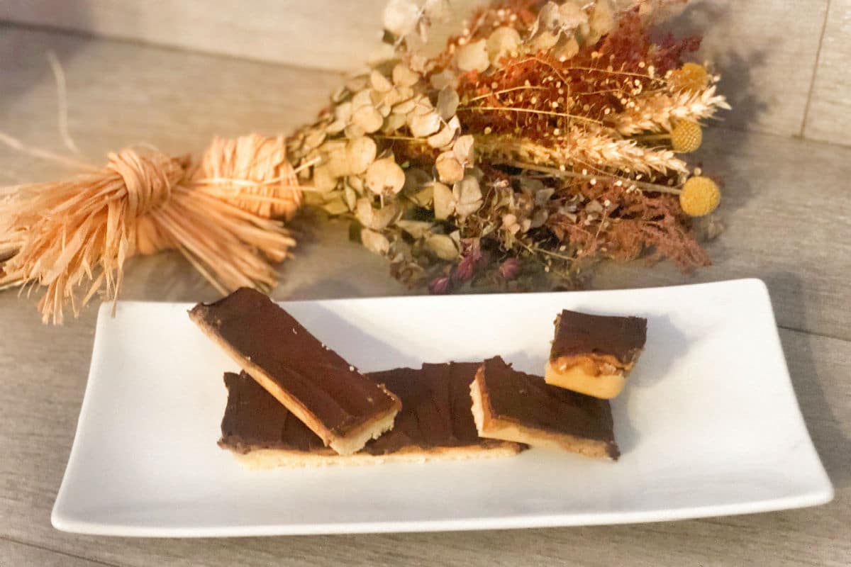 Tarta fría de tres sabores (versión keto y paleo)