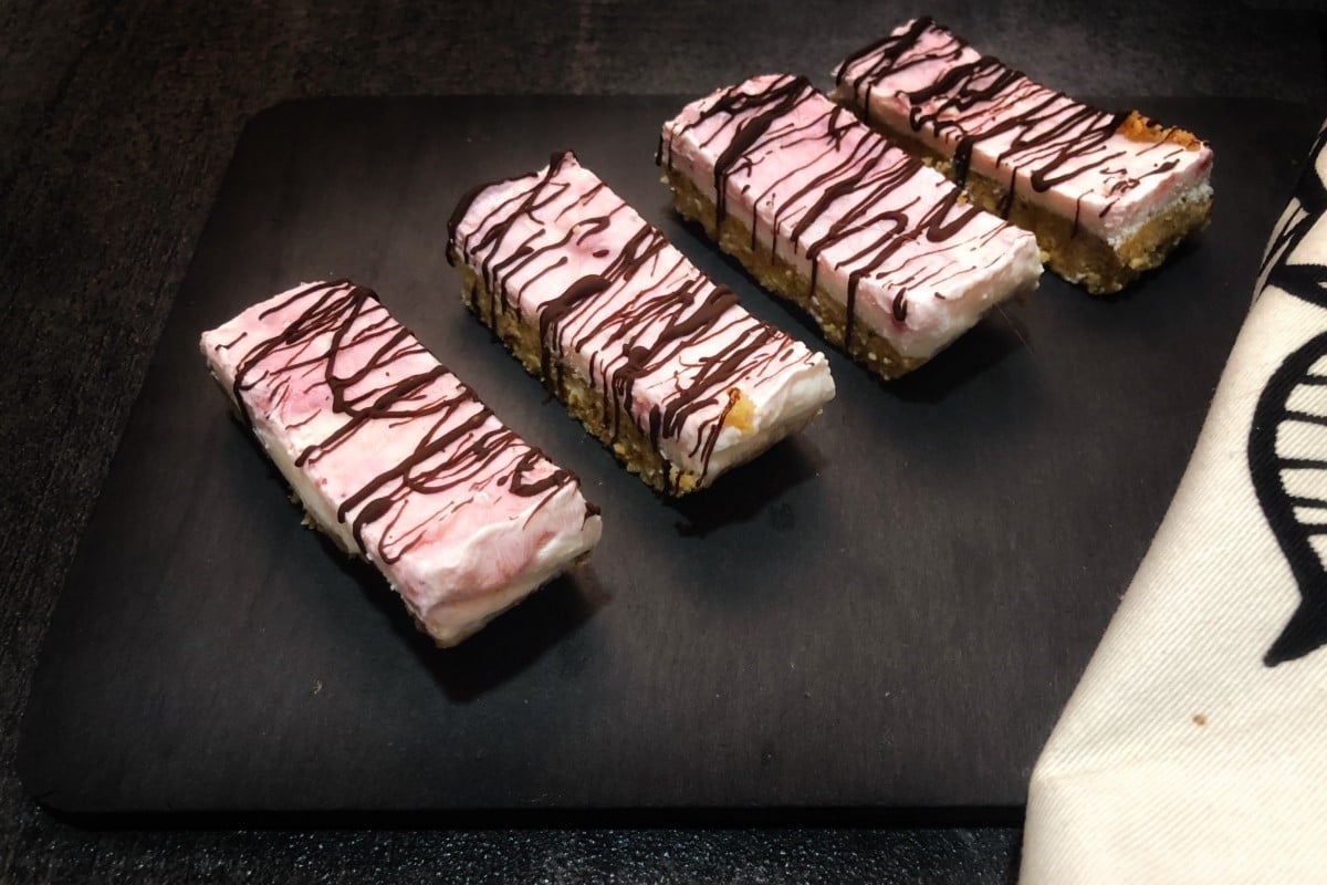 Barritas de yogur helado